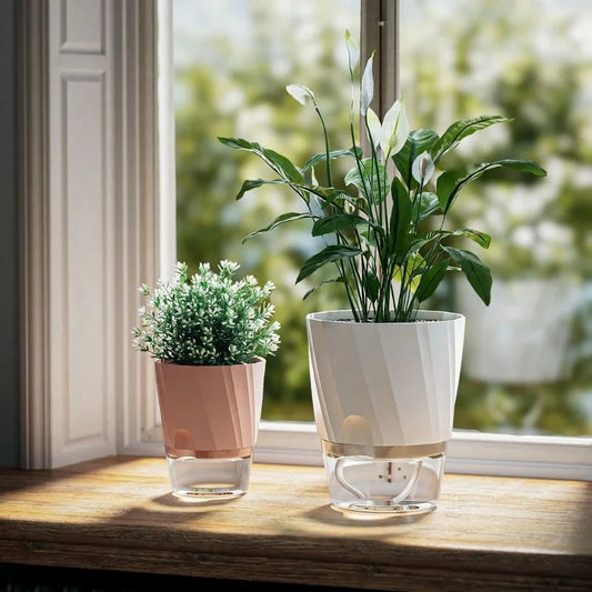 Self-watering flower pot transparent double layer
