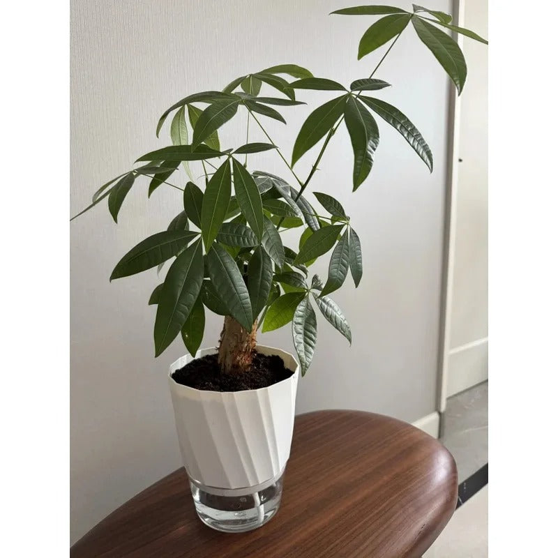 Self-Watering Flower Pot - product image 5